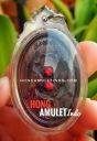 Thai Amulet Salika Locket LP Hong Wat Susantungmon