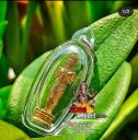 Amulet Roop Lor Tao Wesuwan LP Hong Wat Susantungmon
