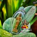Amulet Roop Lor Tao Wesuwan LP Hong Wat Susantungmon