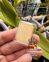 Amulet Phra Phong LP Chern Wat Kok Thong, Ayutthaya Sit on Lion