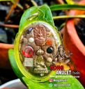 Amulet Locket 9 Millionaire LP Hong Wat Susantungmon