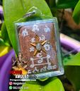 Special Locket Ajahn Fon Holding Snake 5 Gold Takrut