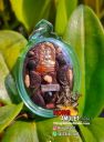Thai Amulet Locket Lersi Khao Kulen