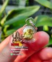Amulet Loop Om Kecil Ajaib dari LP Hong