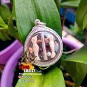 Very Special and Premium Locket LP Hong