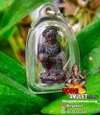 Amulet Rooplor Victory Hanuman LP Boon Wat Thung Hiang