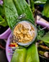 Amulet Jatukam Ramathep Putthapoom Mahabodhi For Wealth